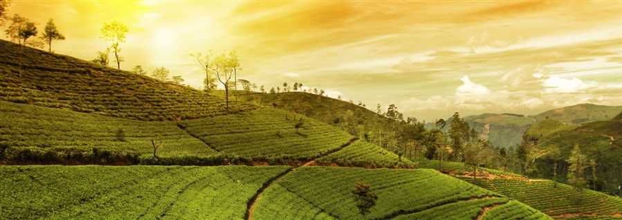 6 Night  Arunachal Kitchen Group